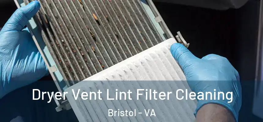  Dryer Vent Lint Filter Cleaning Bristol - VA