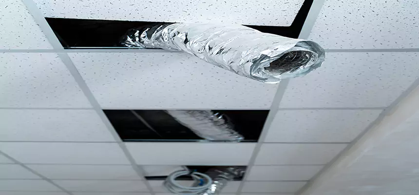 Our Air Duct Pet Hair Removal Services in Bristol, VA