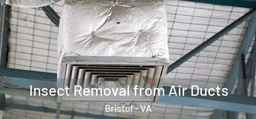  Insect Removal from Air Ducts Bristol - VA