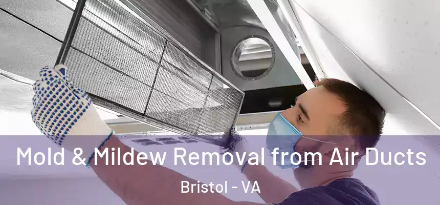  Mold & Mildew Removal from Air Ducts Bristol - VA