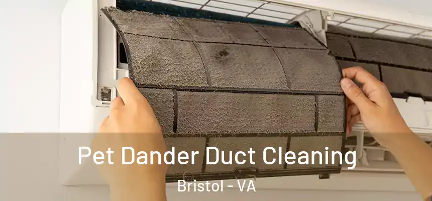  Pet Dander Duct Cleaning Bristol - VA