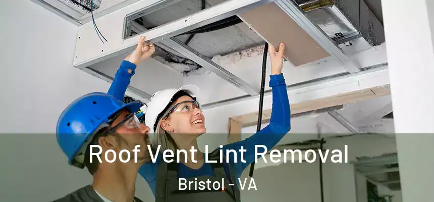  Roof Vent Lint Removal Bristol - VA