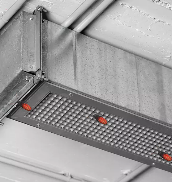 About Air Duct Cockroach Removal in Bristol, VA