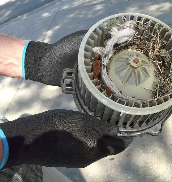 About Air Duct Mice Removal in Bristol, VA