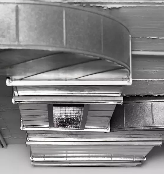 Professional Air Duct Pest Removal in Bristol, VA