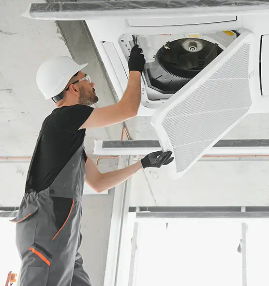 About Air Duct Rodent Removal in Bristol, VA