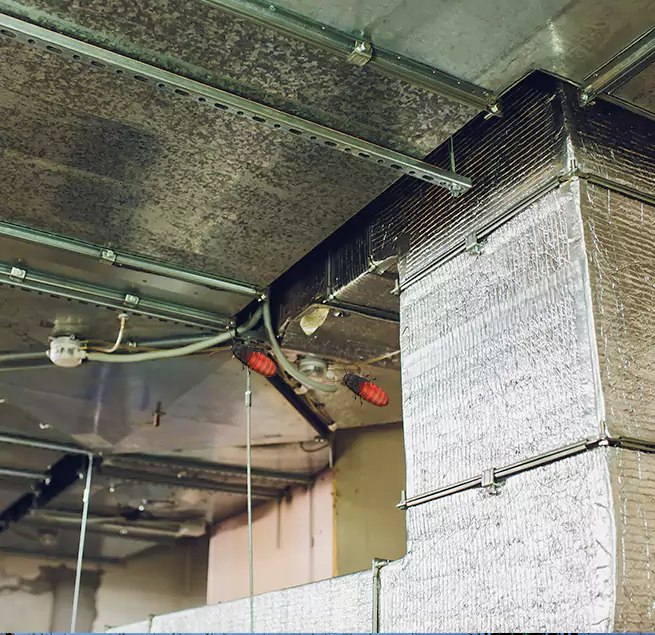 Why Homeowners & Businesses Trust Us in Bristol, VA?