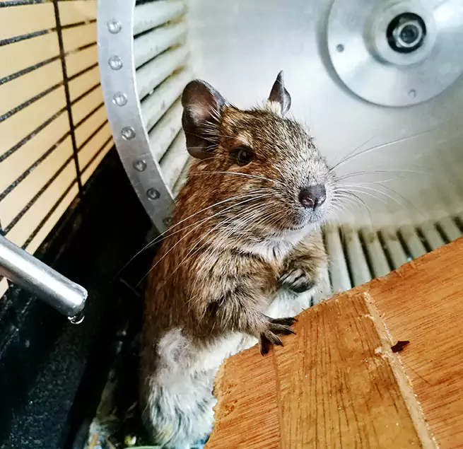 Why Homeowners & Businesses Trust Us Bristol, VA?