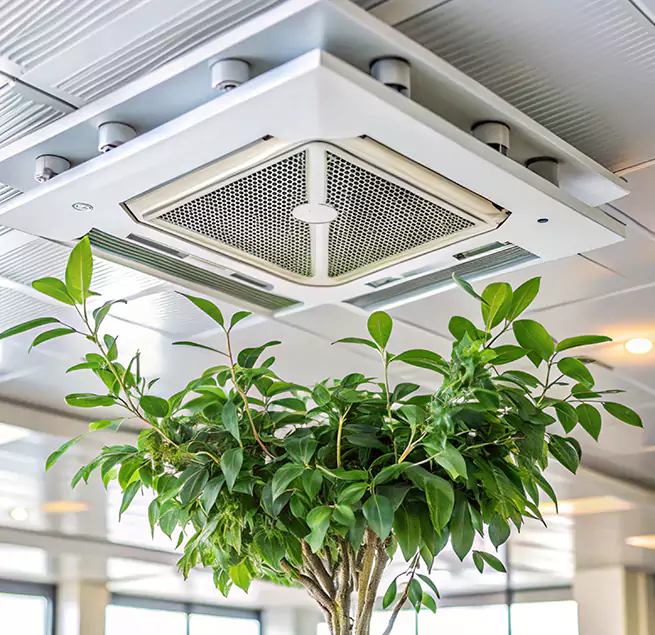 Why Homeowners & Businesses Trust Us in Bristol, VA?